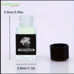 Fluorescent Invisible Ink