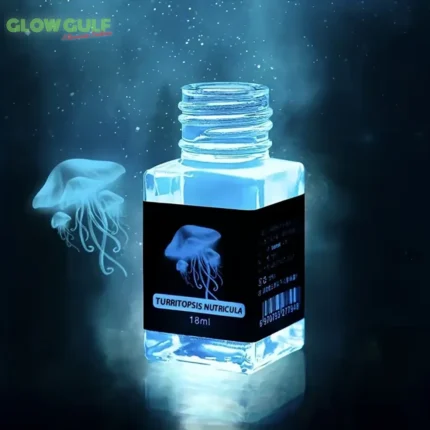 Fluorescent Invisible Ink