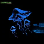 Fluorescent Invisible Ink