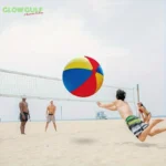 Giant Beach Ball 60CM