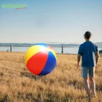 Giant Beach Ball 60CM