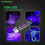 UV Hand Flash Light