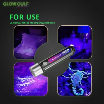 UV Hand Flash Light