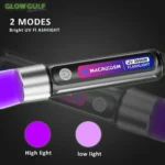 UV Hand Flash Light